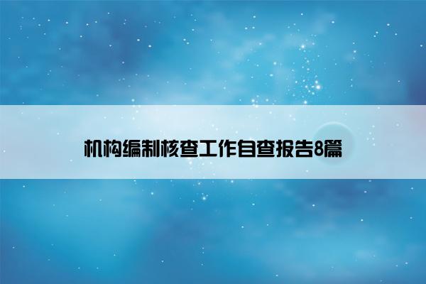 机构编制核查工作自查报告8篇