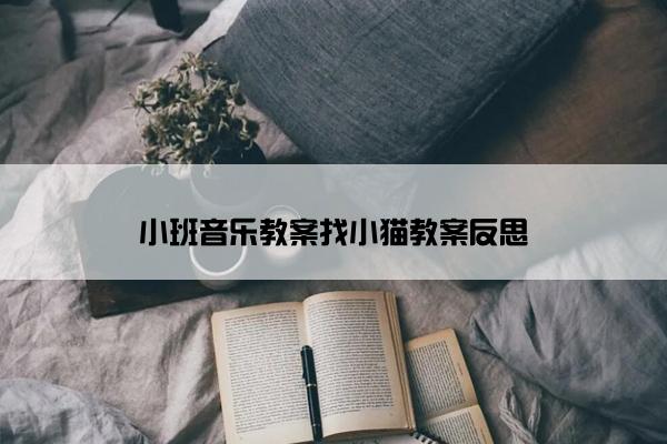 小班音乐教案找小猫教案反思