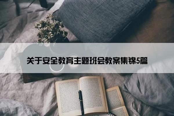 关于安全教育主题班会教案集锦5篇