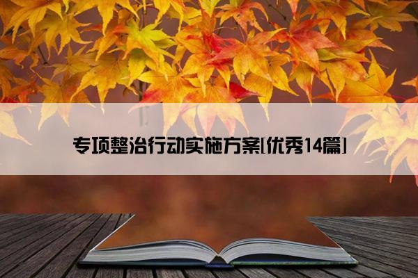 专项整治行动实施方案[优秀14篇]