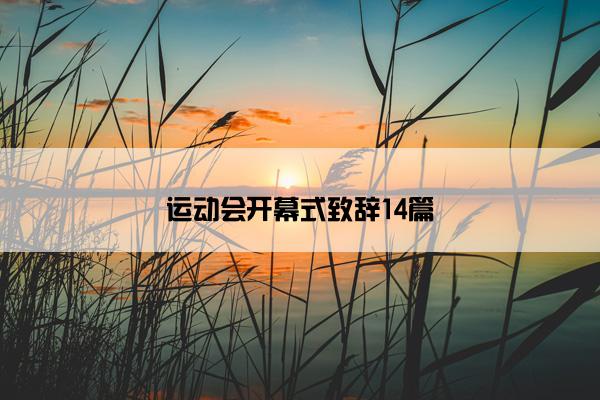 运动会开幕式致辞14篇