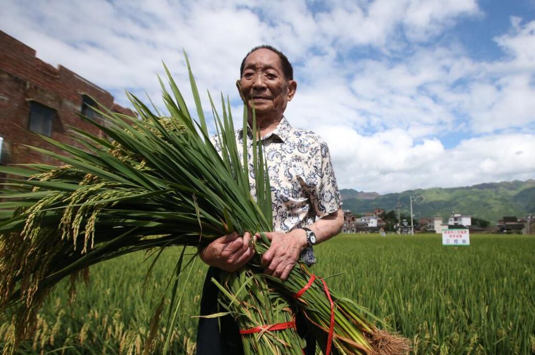 怀念袁隆平.jpg