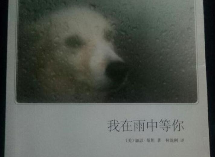 《我在雨中等你》书籍.jpg