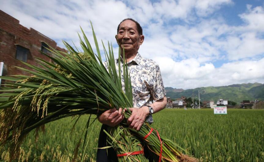 纪念袁隆平.jpg