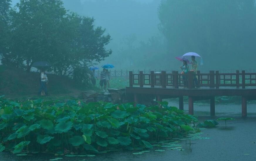 雨中即景.jpg