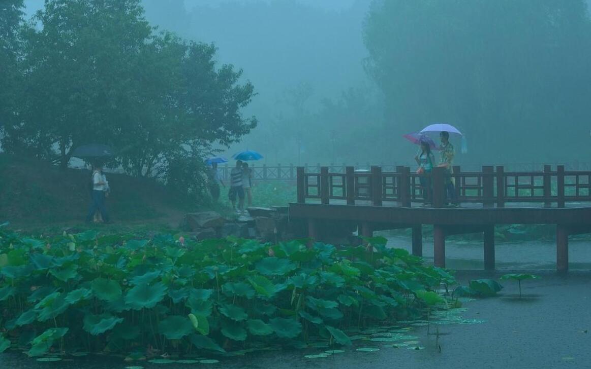 雨中即景.jpg