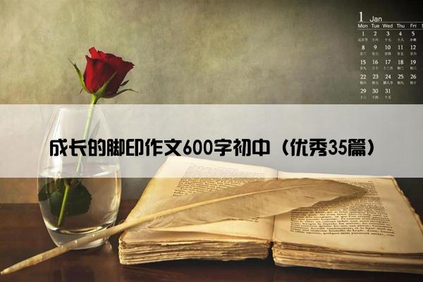 成长的脚印作文600字初中（优秀35篇）