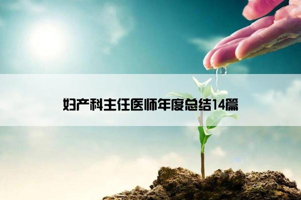 妇产科主任医师年度总结14篇