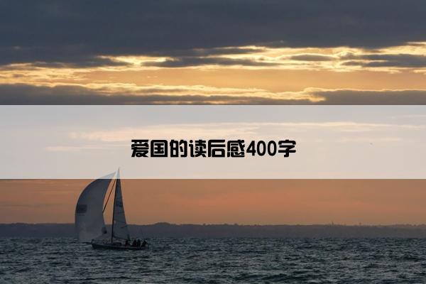 爱国的读后感400字