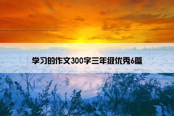 学习的作文300字三年级优秀6篇