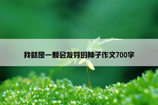 我就是一颗会发芽的种子作文700字