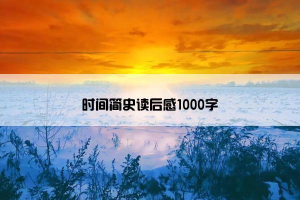 时间简史读后感1000字