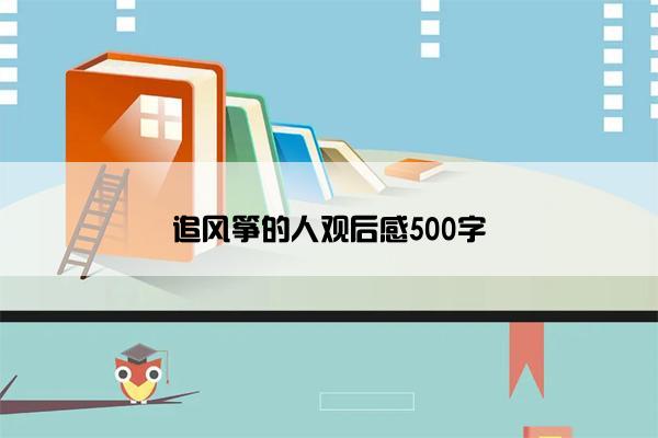 追风筝的人观后感500字