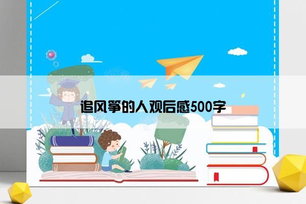 追风筝的人观后感500字