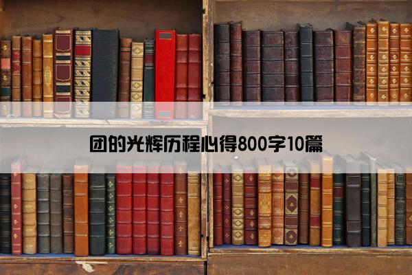 团的光辉历程心得800字10篇