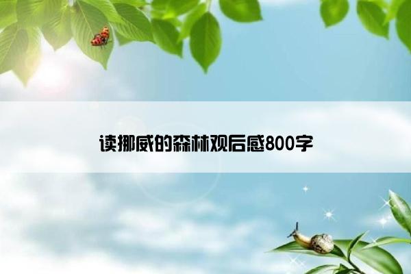 读挪威的森林观后感800字