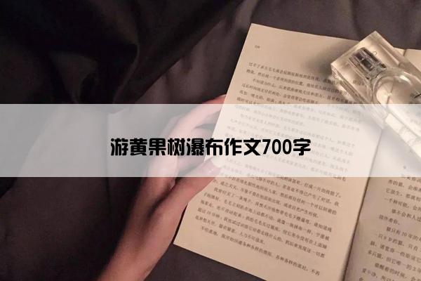 游黄果树瀑布作文700字