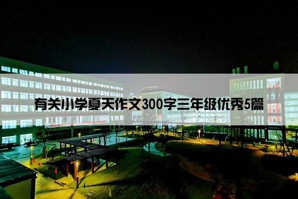 有关小学夏天作文300字三年级优秀5篇