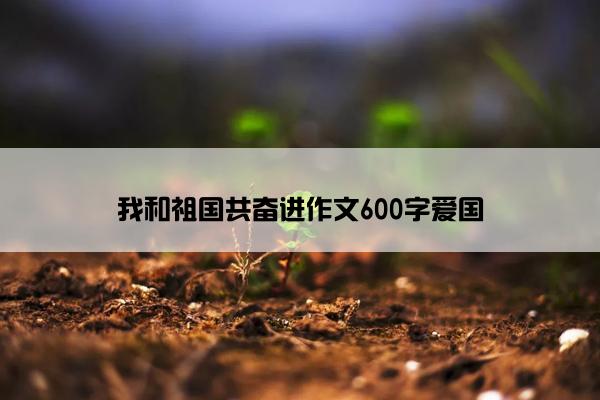 我和祖国共奋进作文600字爱国