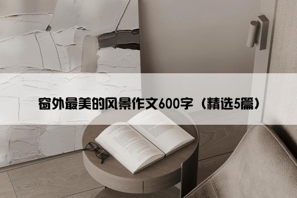 窗外最美的风景作文600字（精选5篇）