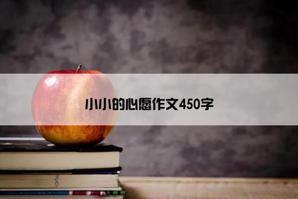 小小的心愿作文450字