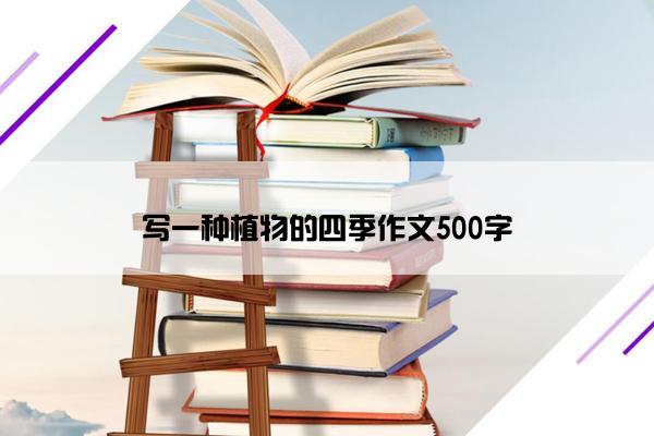 写一种植物的四季作文500字