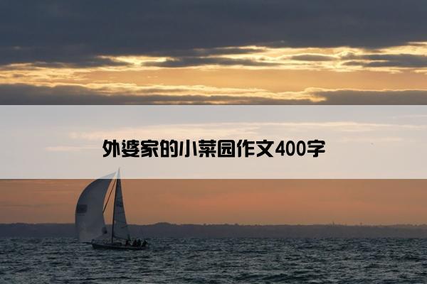 外婆家的小菜园作文400字