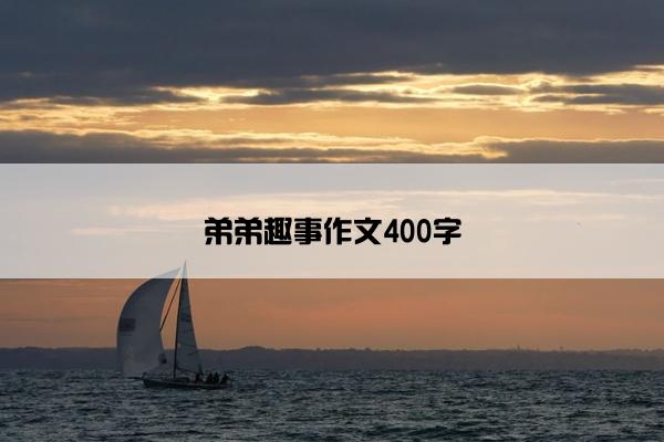 弟弟趣事作文400字