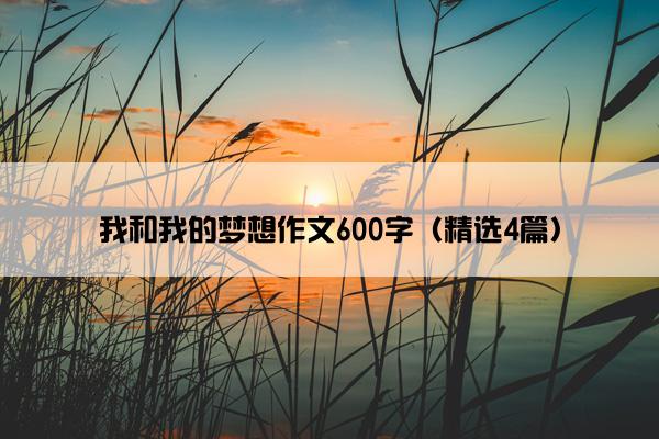 我和我的梦想作文600字（精选4篇）