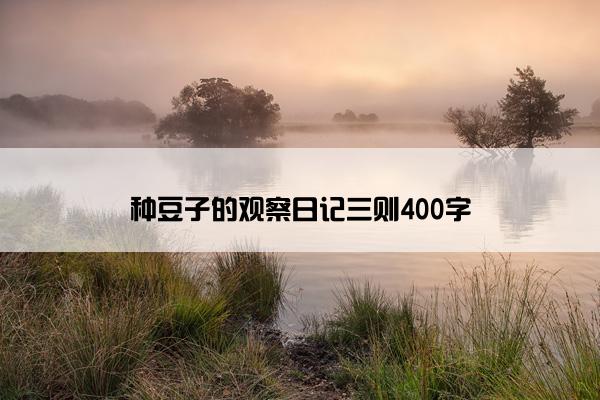 种豆子的观察日记三则400字