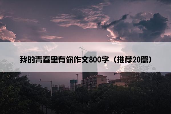 我的青春里有你作文800字（推荐20篇）