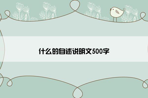 什么的自述说明文500字