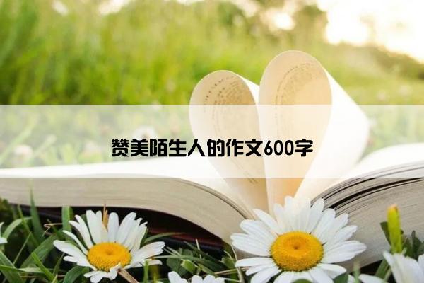 赞美陌生人的作文600字