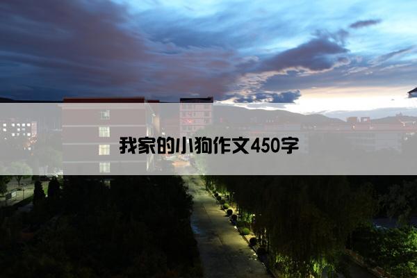 我家的小狗作文450字