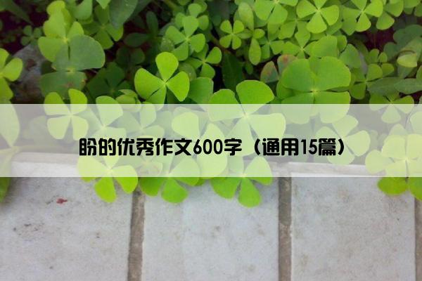 盼的优秀作文600字（通用15篇）