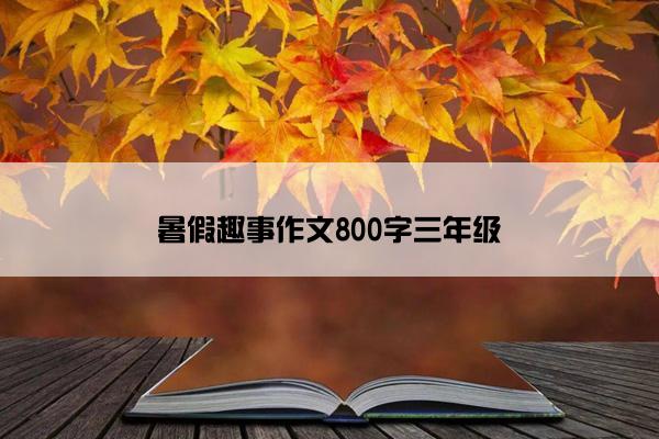 暑假趣事作文800字三年级