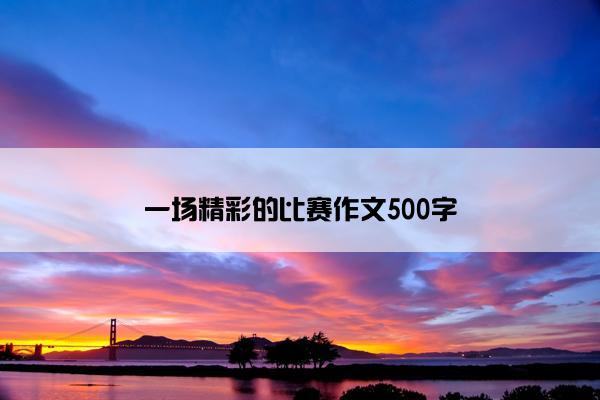 一场精彩的比赛作文500字