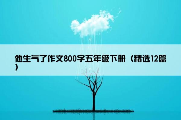 他生气了作文800字五年级下册（精选12篇）