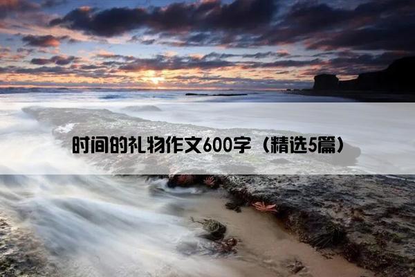 时间的礼物作文600字（精选5篇）