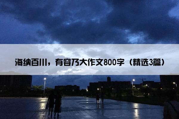 海纳百川，有容乃大作文800字（精选3篇）