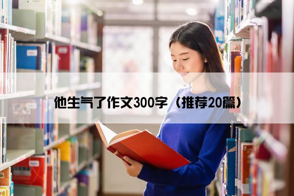 他生气了作文300字（推荐20篇）