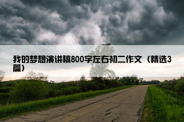 我的梦想演讲稿800字左右初二作文（精选3篇）