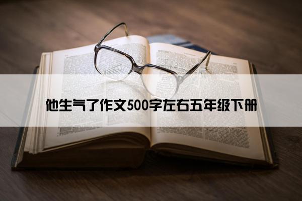 他生气了作文500字左右五年级下册