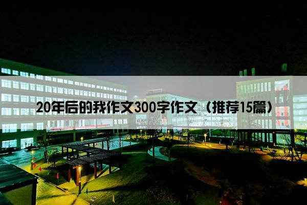 20年后的我作文300字作文（推荐15篇）