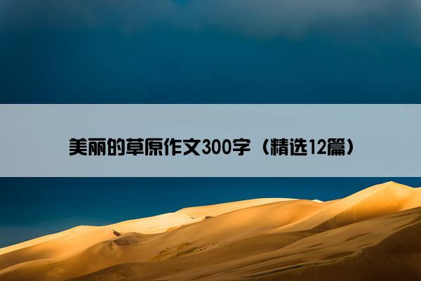 美丽的草原作文300字（精选12篇）