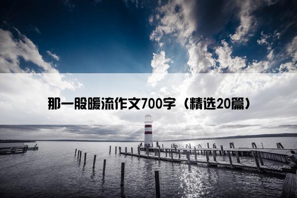 那一股暖流作文700字（精选20篇）