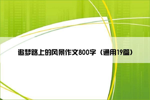 追梦路上的风景作文800字（通用19篇）