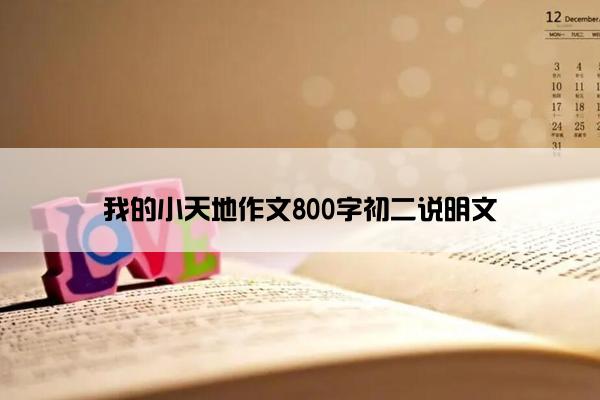 我的小天地作文800字初二说明文