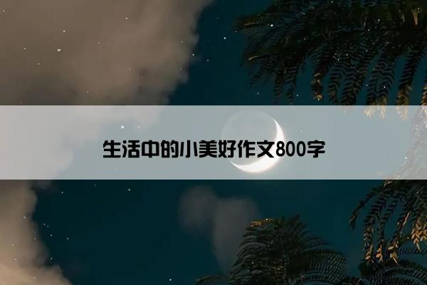 生活中的小美好作文800字