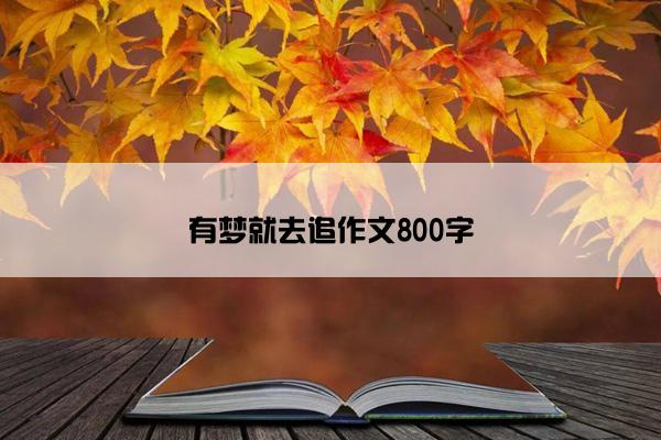 有梦就去追作文800字